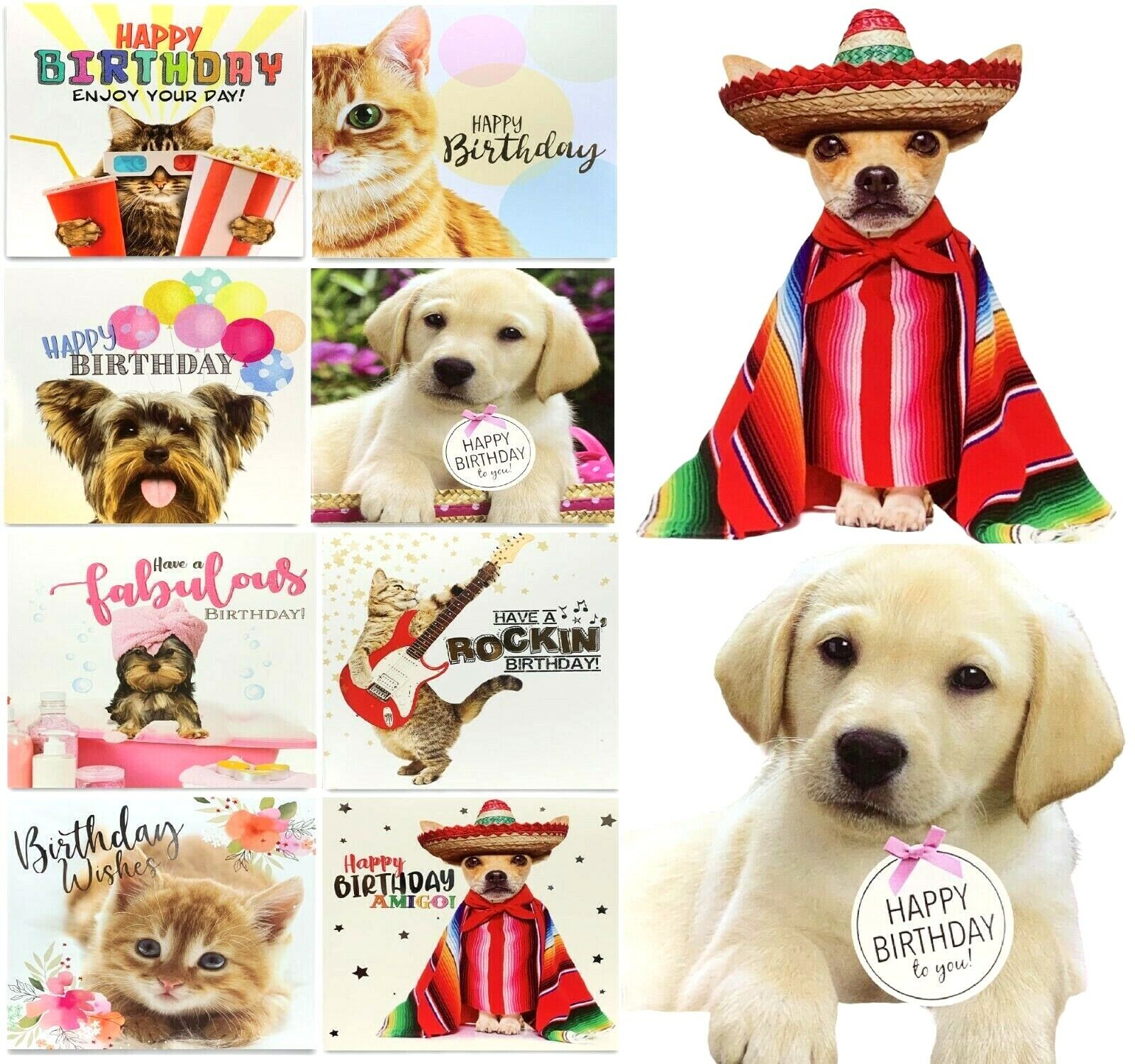 Beclen Harp Pack of 8 Mixed Assorted Happy Birthday Pet Cards Greeting Card Cats & Dogs