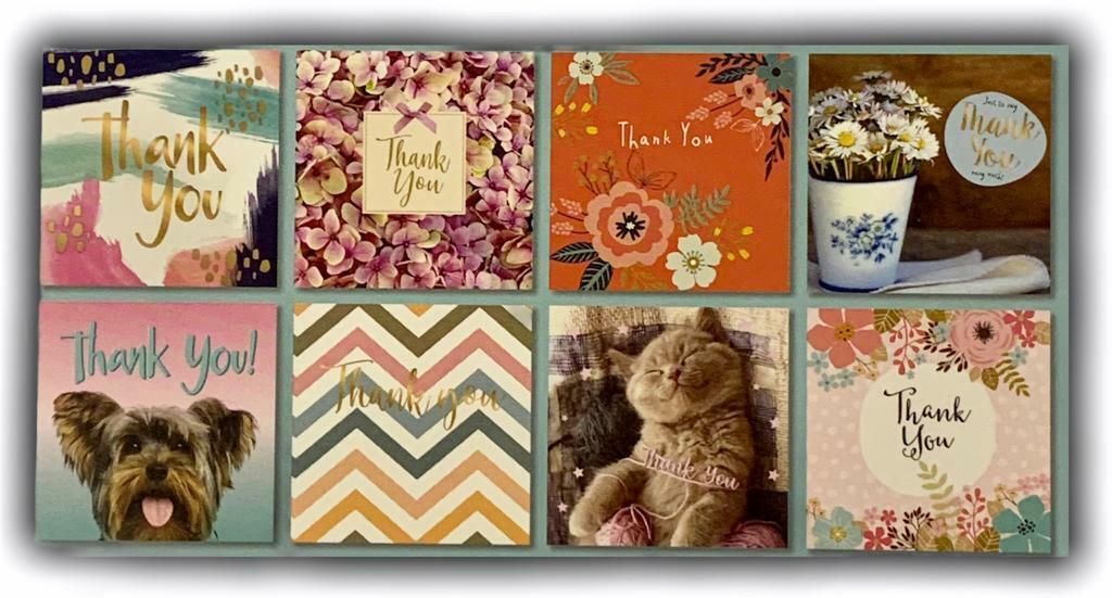 Beclen Harp Pack of 8 Mixed Assorted THANK YOU Wishes Floral Adult Kids Cards Greeting Card