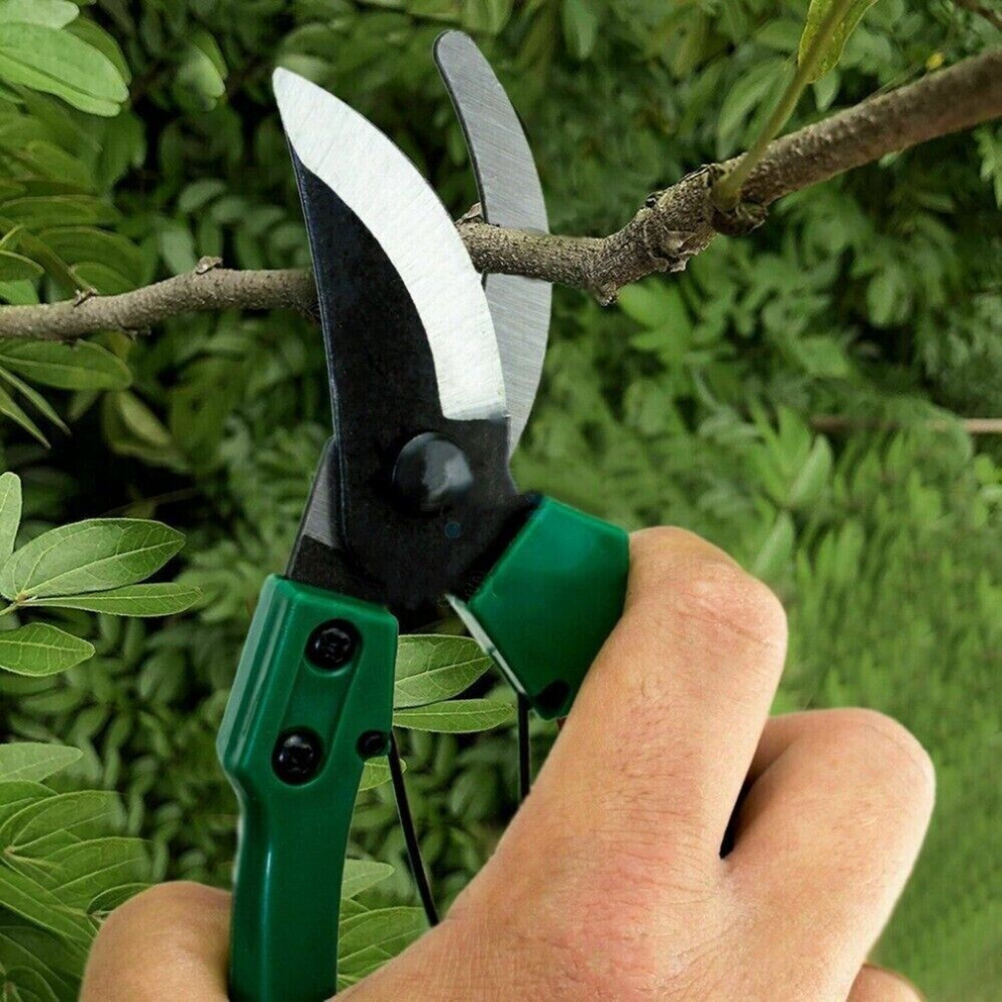 Beclen Harp 18.5cm Bypass Pruning Shears Garden Cutter Hand Tool Scissors Pruner Plants