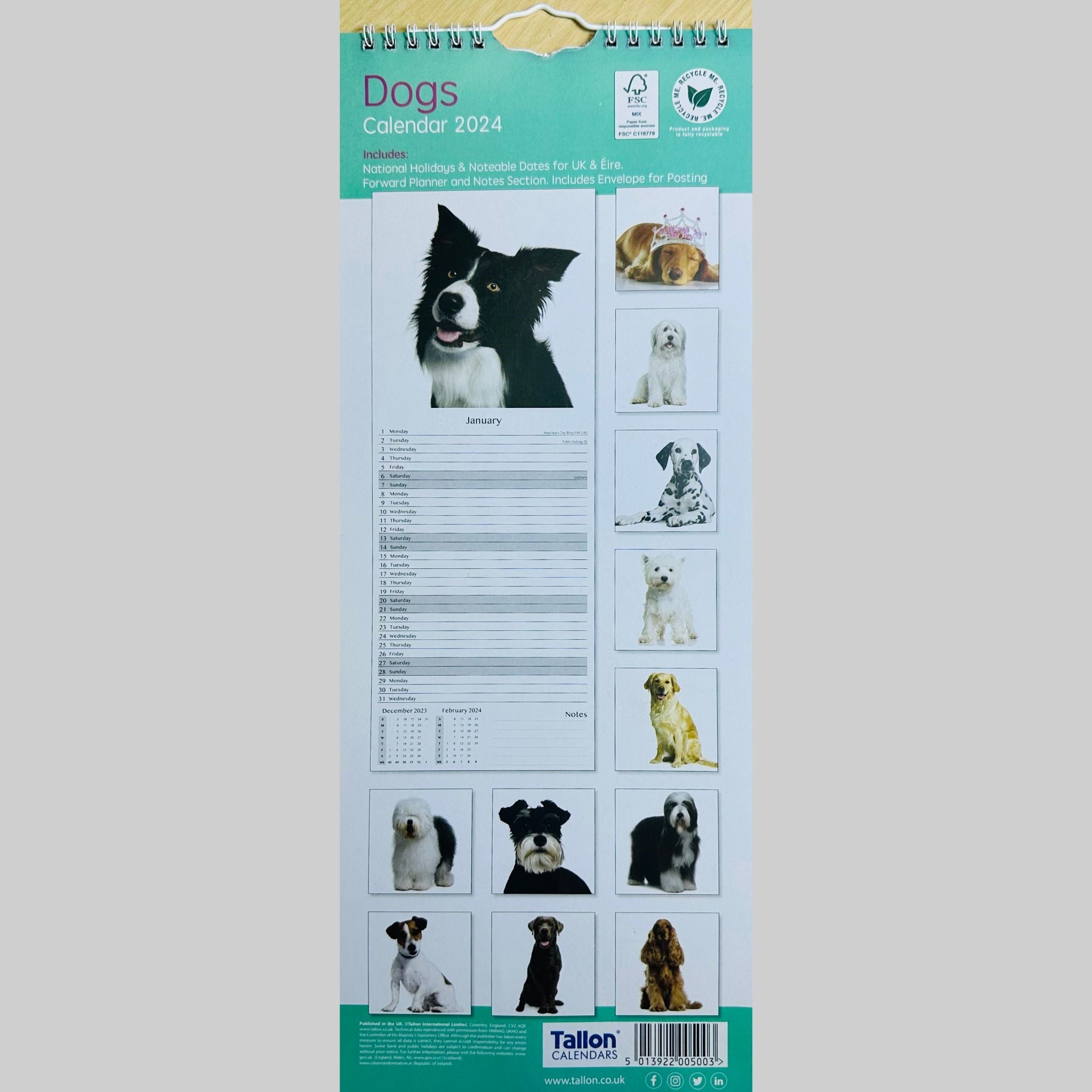 Beclen Harp Super Slim Month to View Spiral Bound Hanging Wall Calendar Home Office 2024  Dogs,Cats,Kittens,Puppies