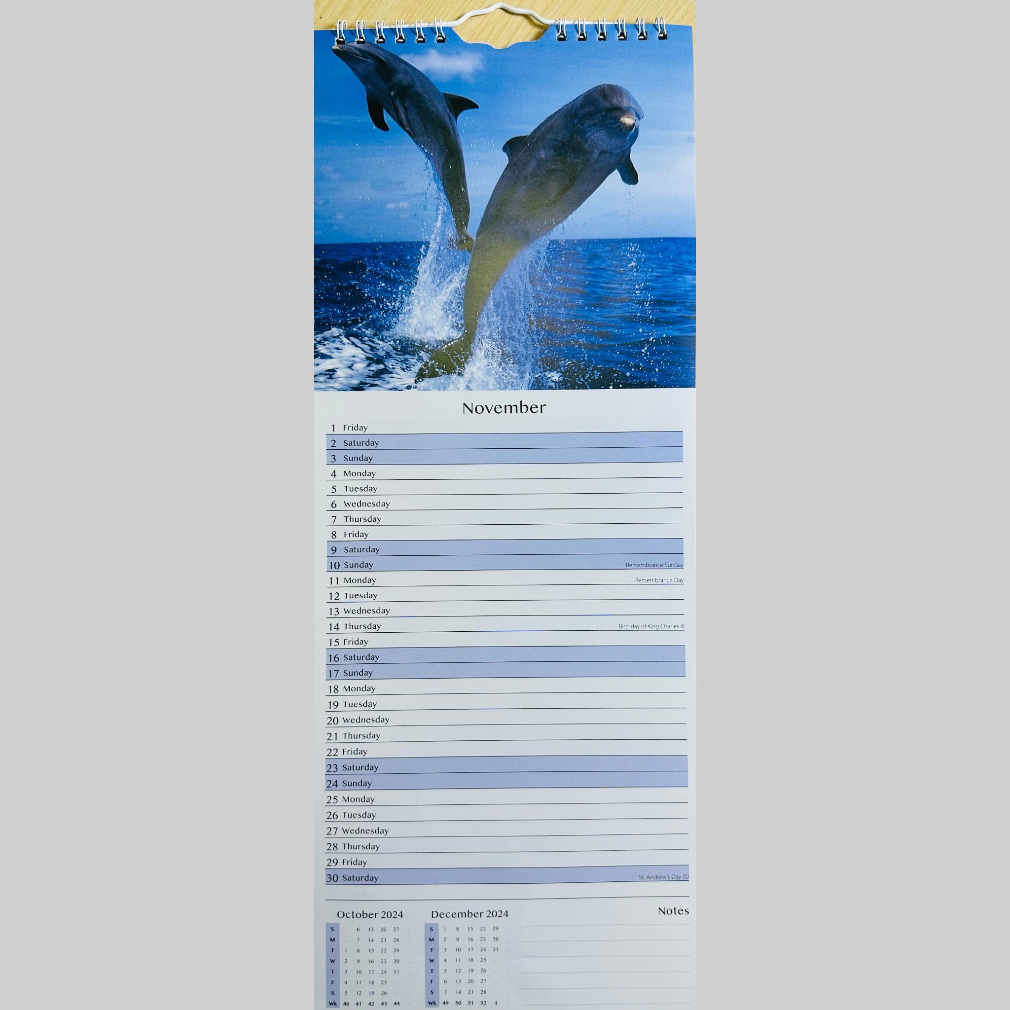 Beclen Harp Super Slim Month to View Spiral Bound Hanging Wall Calendar Home Office 2024 Dolphins and Whales/  Polar Bears and  Penguins/ Endangered Animals/  Wildlife