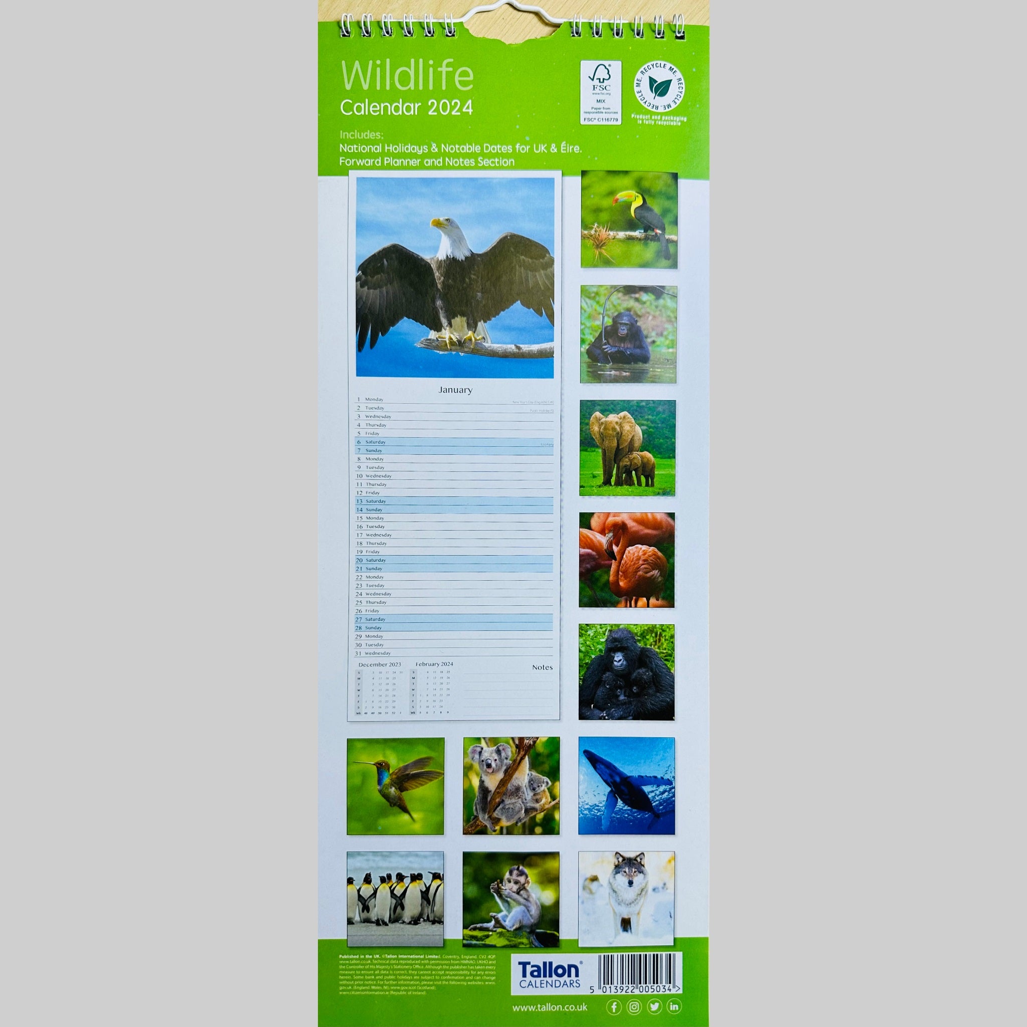  Wildlife Wall Calendar - Spiral 2024