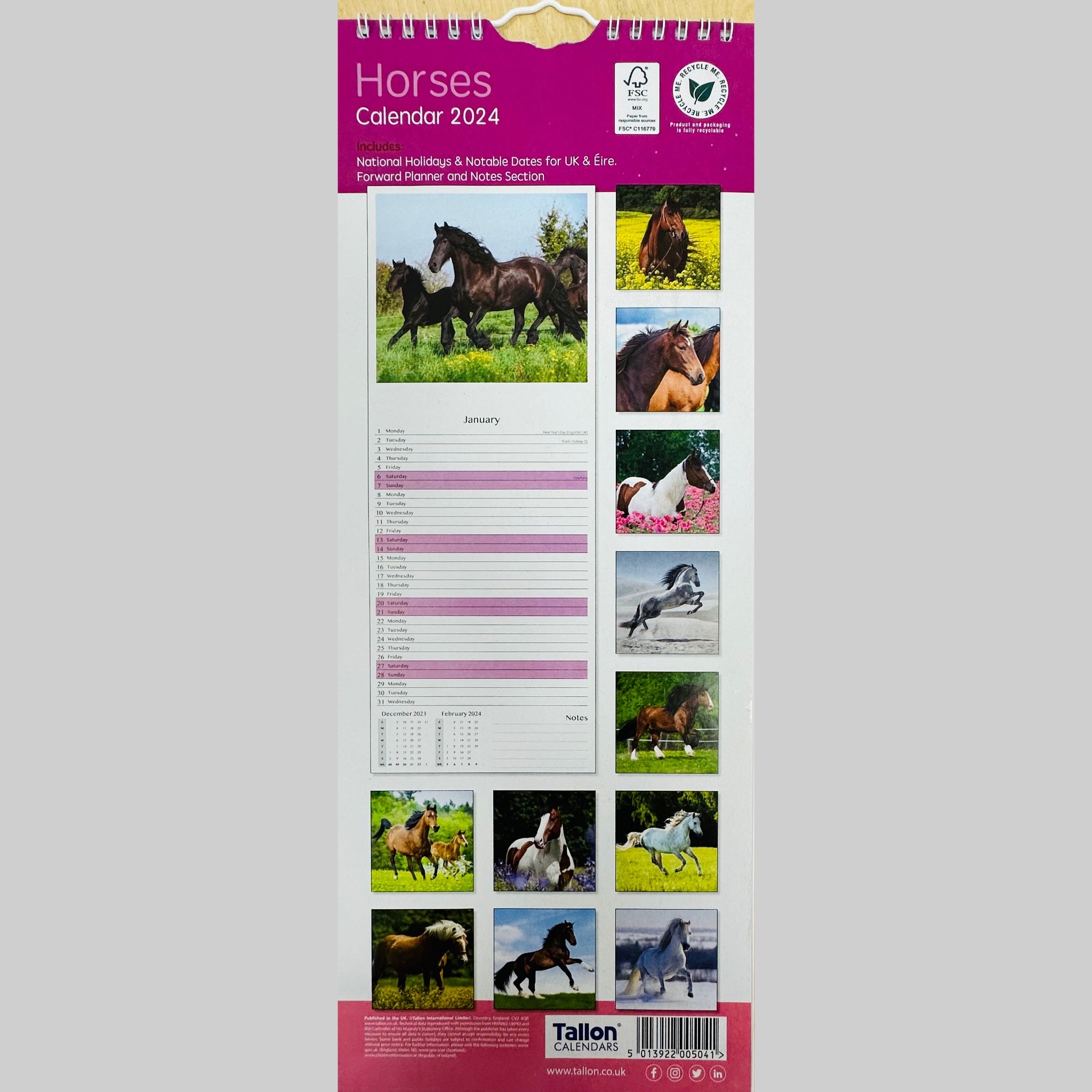 Beclen Harp MTV/ Super Slim Month to View Spiral Bound Hanging Wall Calendar Home Office 2024/ Long Calendar Planner  Donkeys, Foals, Horses, Ponies