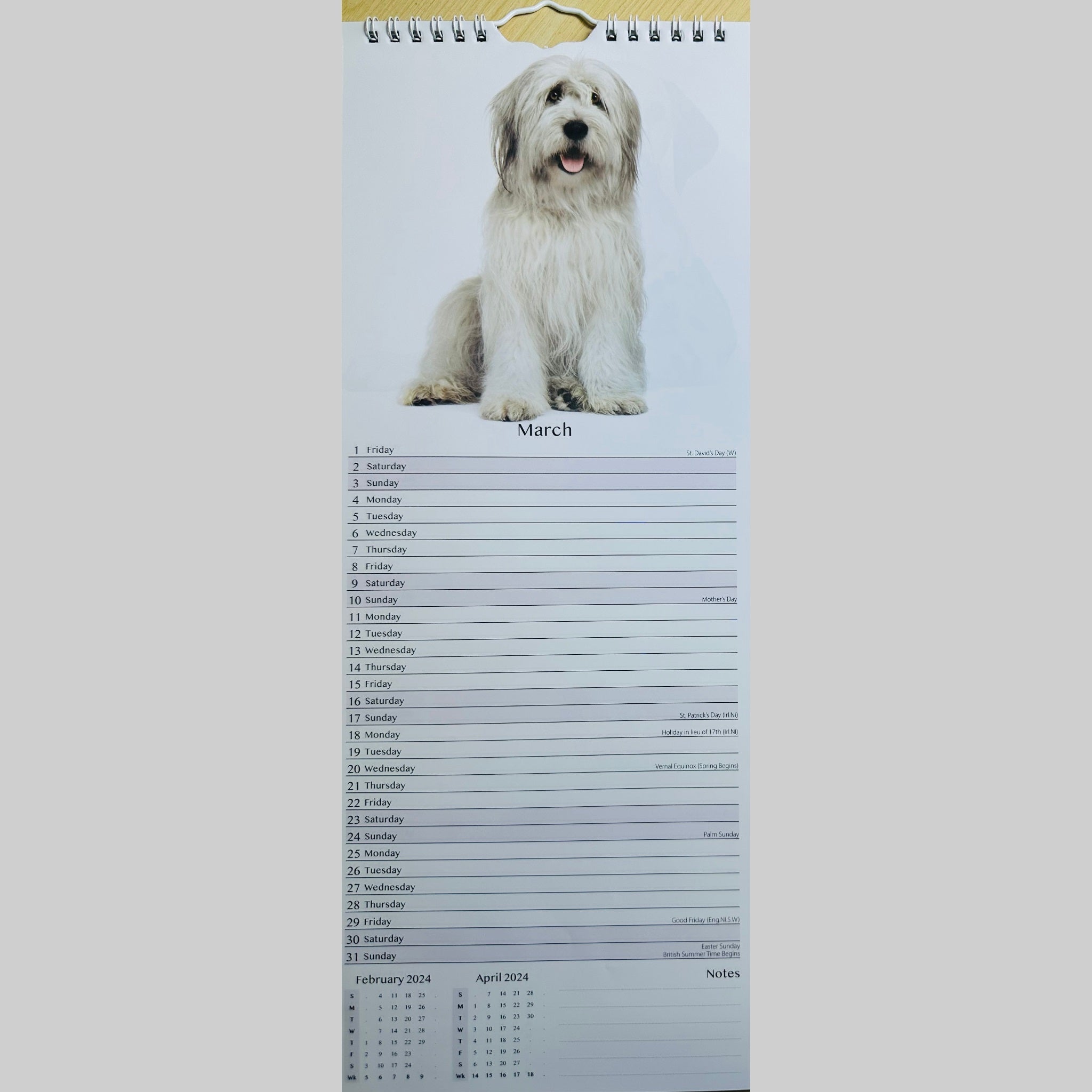 Beclen Harp Super Slim Month to View Spiral Bound Hanging Wall Calendar Home Office 2024 Dogs and Puppies