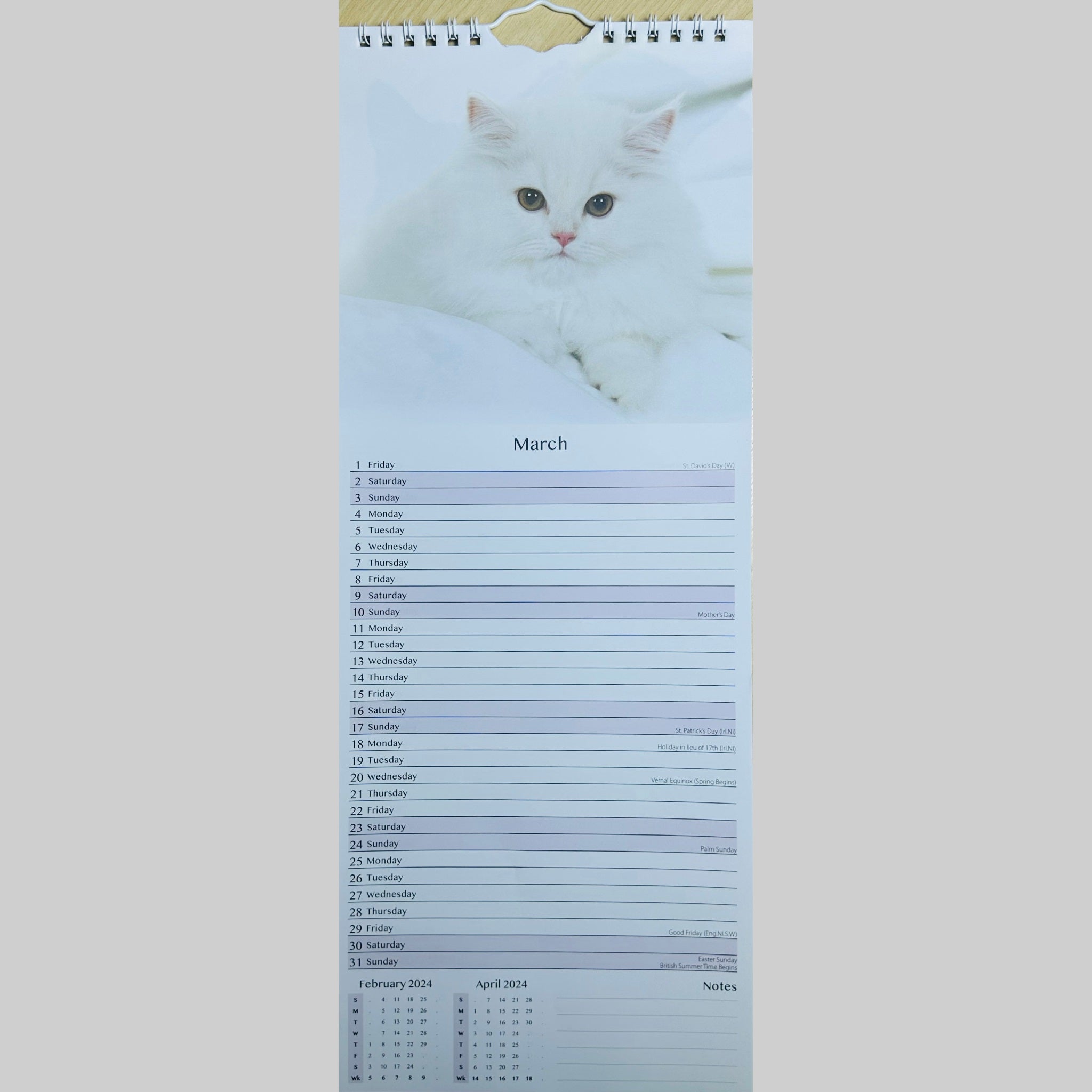Beclen Harp Super Slim Month to View Spiral Bound Hanging Wall Calendar Home Office 2024 Cats and Kittens