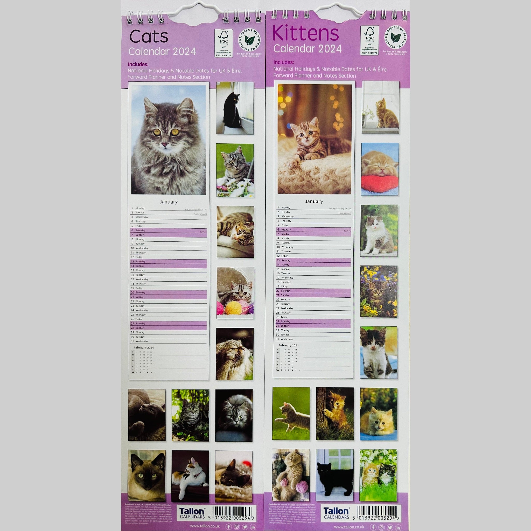 Beclen Harp Super Slim Month to View Spiral Bound Hanging Wall Calendar Home Office 2024 Dogs, Puppies, Kittens, Cats, Wildlife, Flowers, Scenes, Gardens