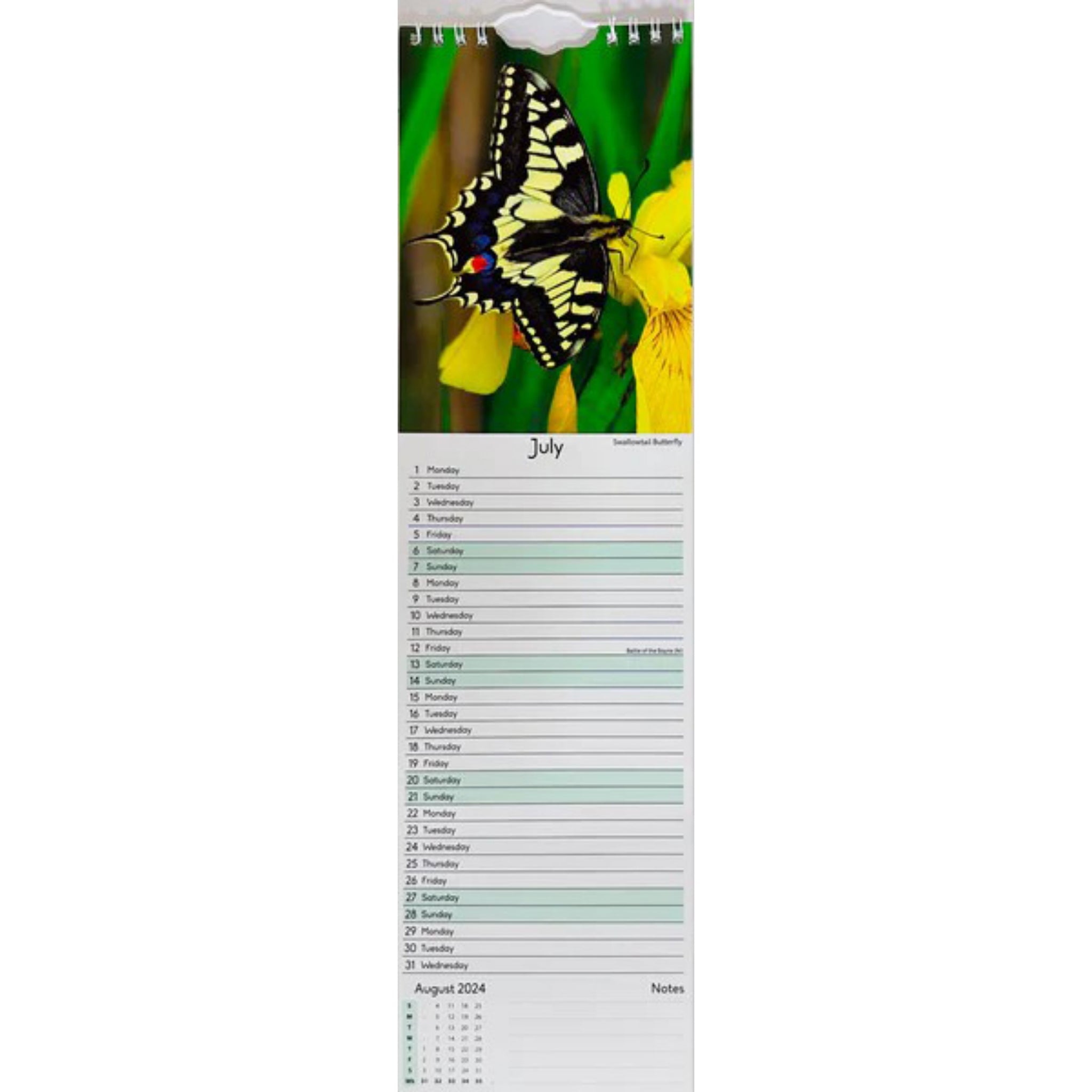 Beclen Harp 2024 Slim wall Calendar Month to View Home office School Calendar With Daily Notes & Pocket Diary/ Spiral Bound Hanging Wall Calendar Flower Garden Wildlife Scenes