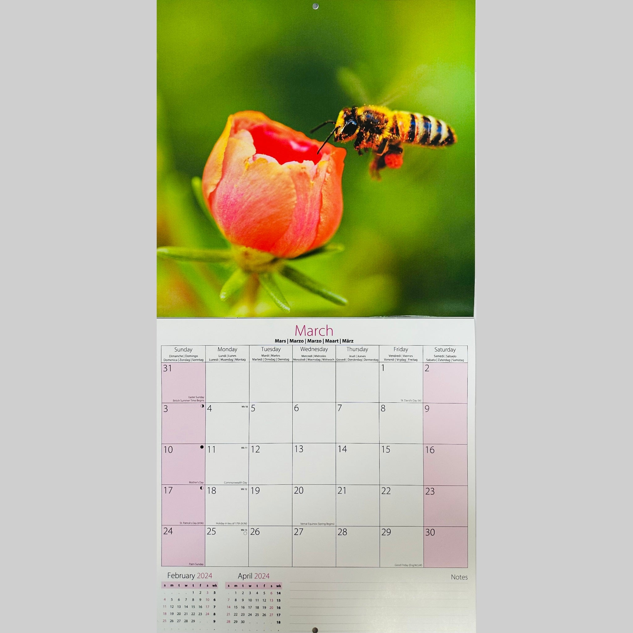 Beclen Harp 2024 One Month To View Photographic Wall Hanging Home Office Calendar Planner With Postal Envelope Butterflies Bees