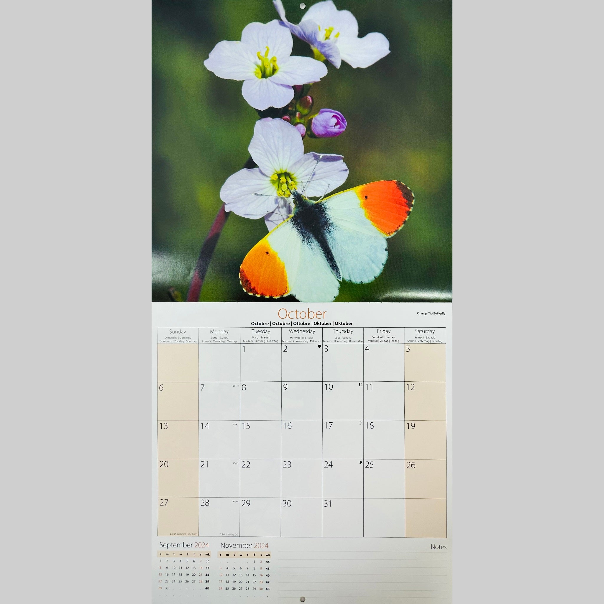 Beclen Harp 2024 One Month To View Photographic Wall Hanging Home Office Calendar Planner With Postal Envelope Butterflies Bees