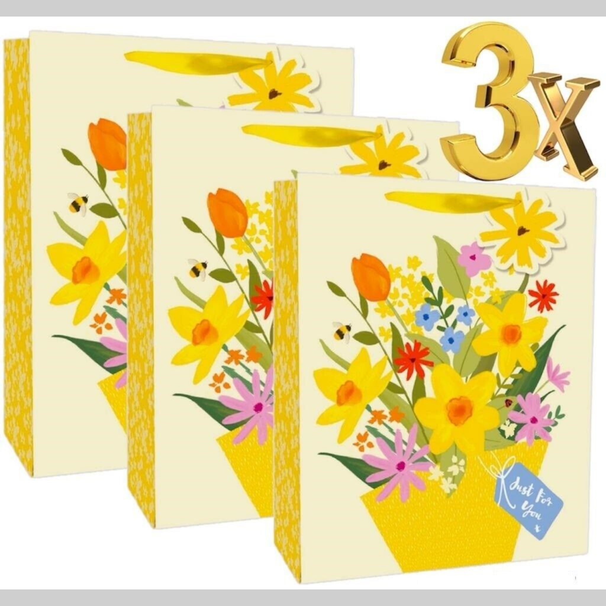 Beclen Harp 3x L/M Size Luxury Easter Traditional Flowers/Floral Print Present/Gift Bags With ''Just For You'' Tags