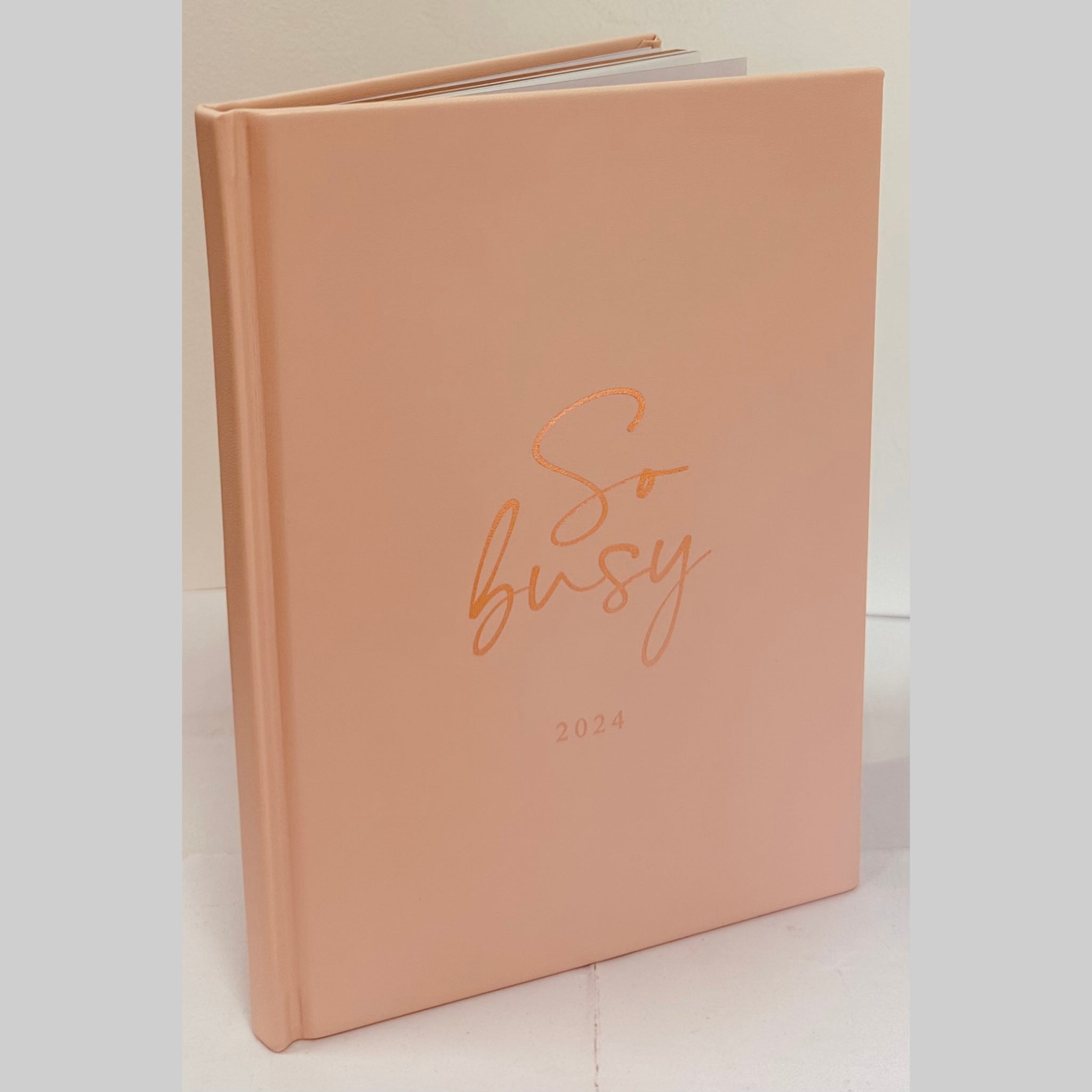 Beclen Harp 2024 A5 Week To View/WTV Luxury Personalized Diary With HardBack Cover