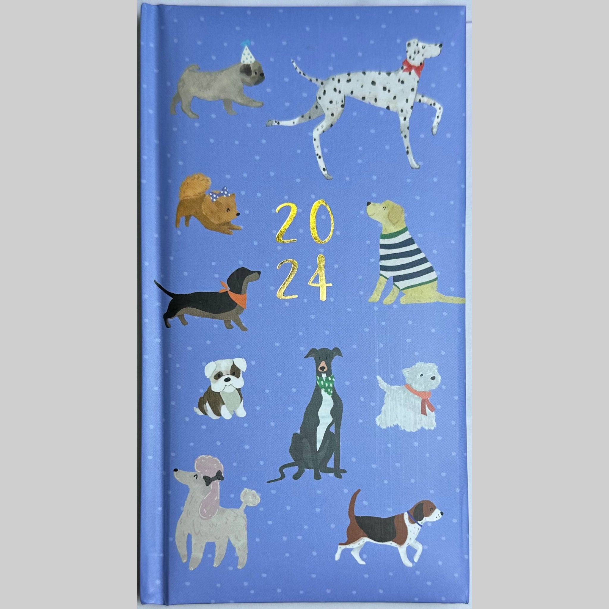 Beclen Harp 2024 A5 Week To View/WTV Personal Executive Colorful Cute Print Foil Effec Diary