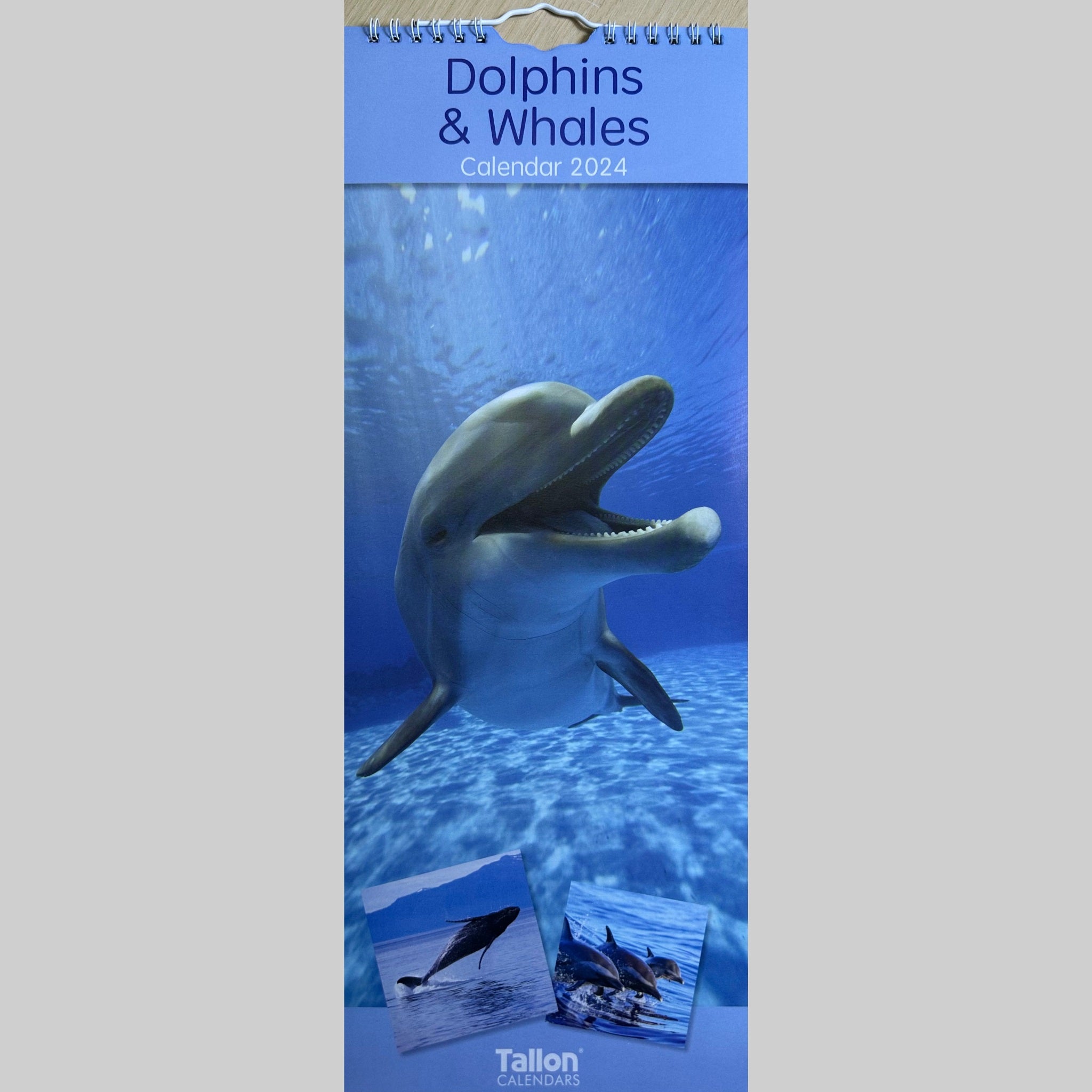 Beclen Harp Super Slim Month to View Spiral Bound Hanging Wall Calendar Home Office 2024 Dolphins and Whales/  Polar Bears and  Penguins/ Endangered Animals/  Wildlife