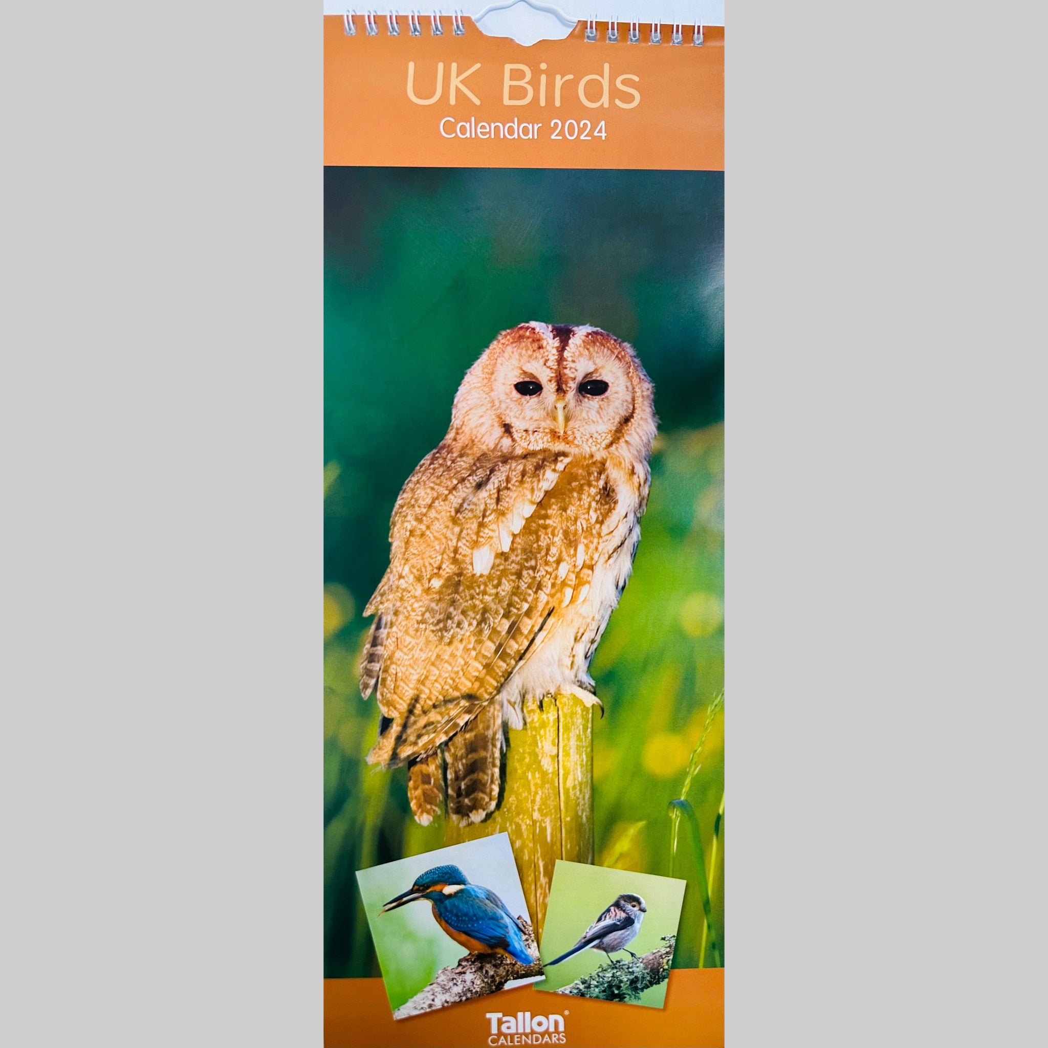 Beclen Harp Super Slim Month to View Spiral Bound Hanging Wall Calendar Home Office 2024 UK Wildlife and UK Birds