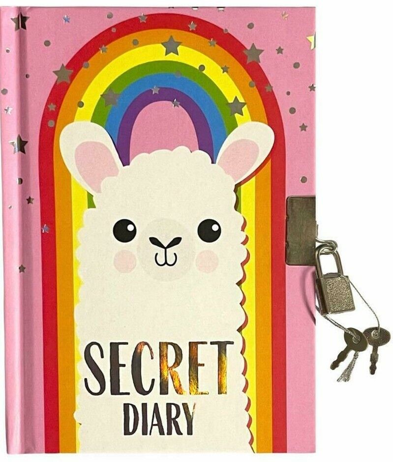 Beclen Harp A6 Hardback Open Undated Diary Secret Diary with Padlock and Keys - Donut Secret Design